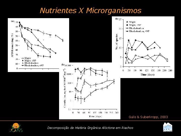 Nutrientes X Microrganismos Gulis & Suberkropp, 2003 Decomposição de Matéria Orgânica Alóctone em Riachos