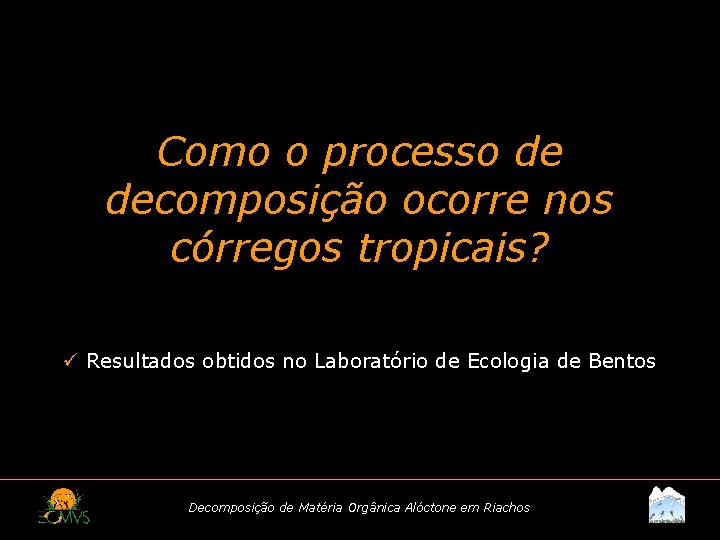 Como o processo de decomposição ocorre nos córregos tropicais? ü Resultados obtidos no Laboratório