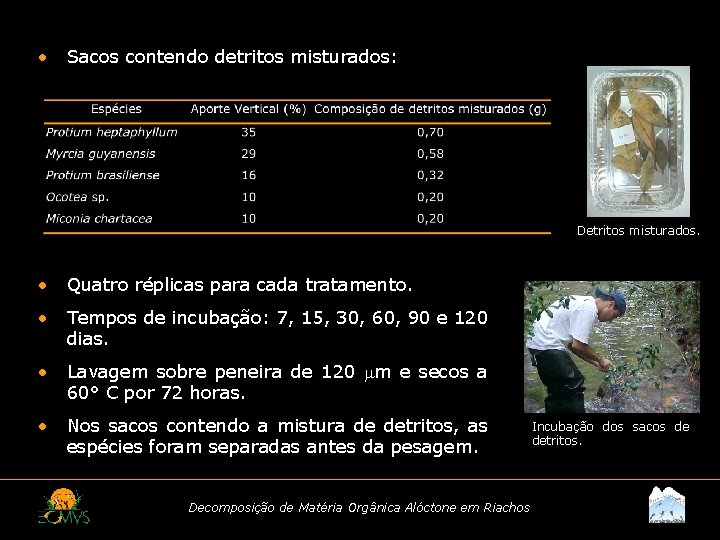  • Sacos contendo detritos misturados: Detritos misturados. • Quatro réplicas para cada tratamento.