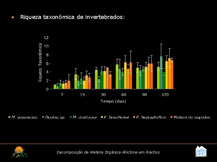  • Riqueza taxonômica de invertebrados: Decomposição de Matéria Orgânica Alóctone em Riachos 