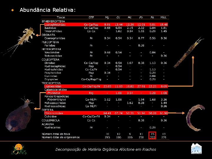  • Abundância Relativa: Decomposição de Matéria Orgânica Alóctone em Riachos 