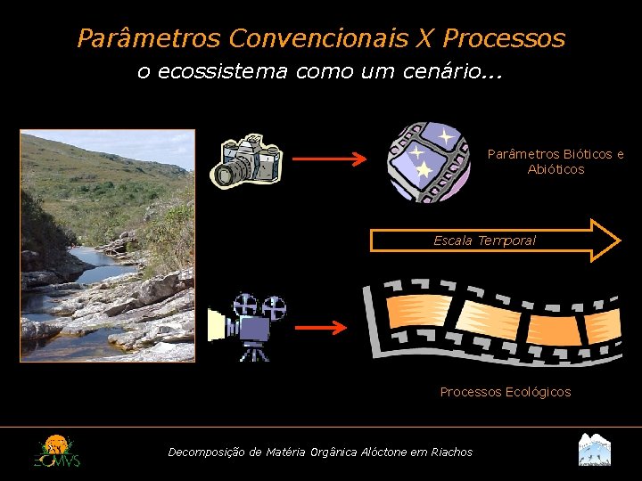 Parâmetros Convencionais X Processos o ecossistema como um cenário. . . Parâmetros Bióticos e