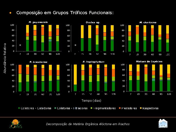 Abundância Relativa • Composição em Grupos Tróficos Funcionais: 100 100 80 80 80 60