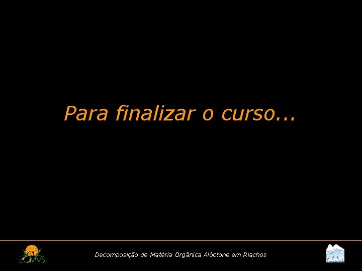 Para finalizar o curso. . . Decomposição de Matéria Orgânica Alóctone em Riachos 