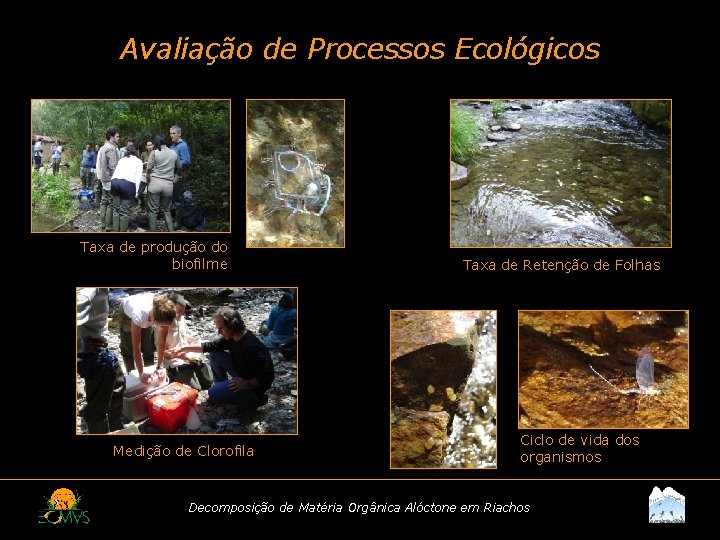 Avaliação de Processos Ecológicos Taxa de produção do biofilme Medição de Clorofila Taxa de