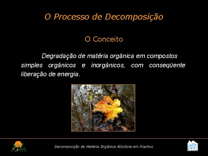 O Processo de Decomposição O Conceito Degradação de matéria orgânica em compostos simples orgânicos