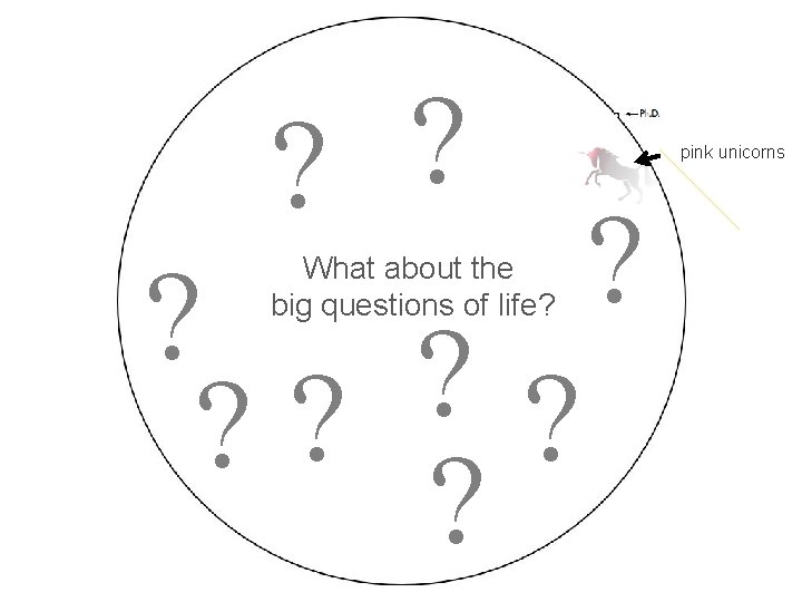  ? ? ? ? What about the big questions of life? pink unicorns