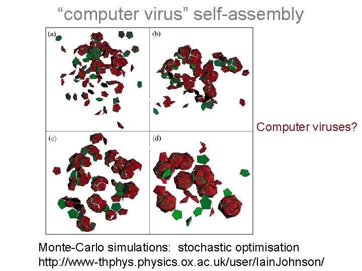 “computer virus” self-assembly Computer viruses? Monte-Carlo simulations: stochastic optimisation http: //www-thphysics. ox. ac. uk/user/Iain.
