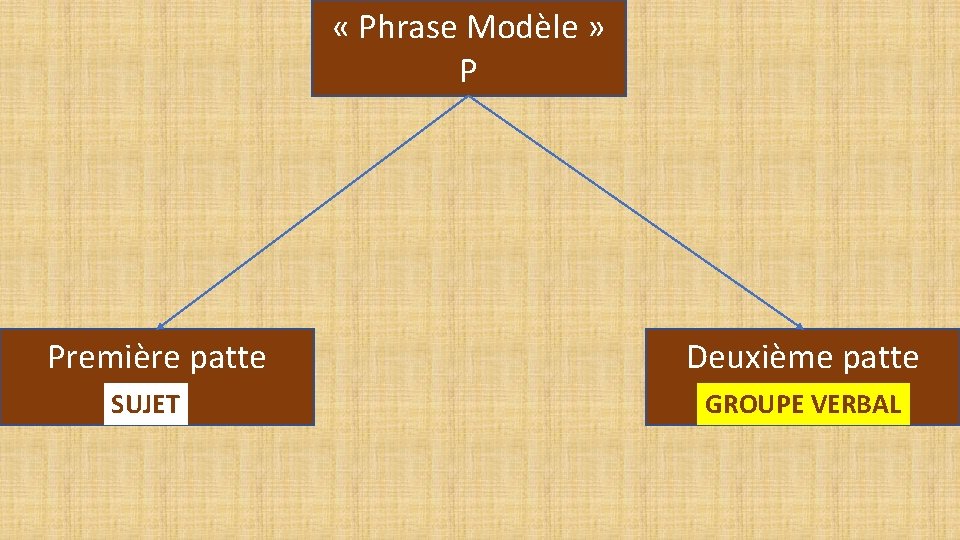  « Phrase Modèle » P Première patte SUJET Deuxième patte GROUPE VERBAL 
