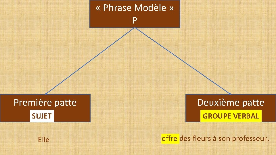  « Phrase Modèle » P Première patte SUJET Elle Deuxième patte GROUPE VERBAL