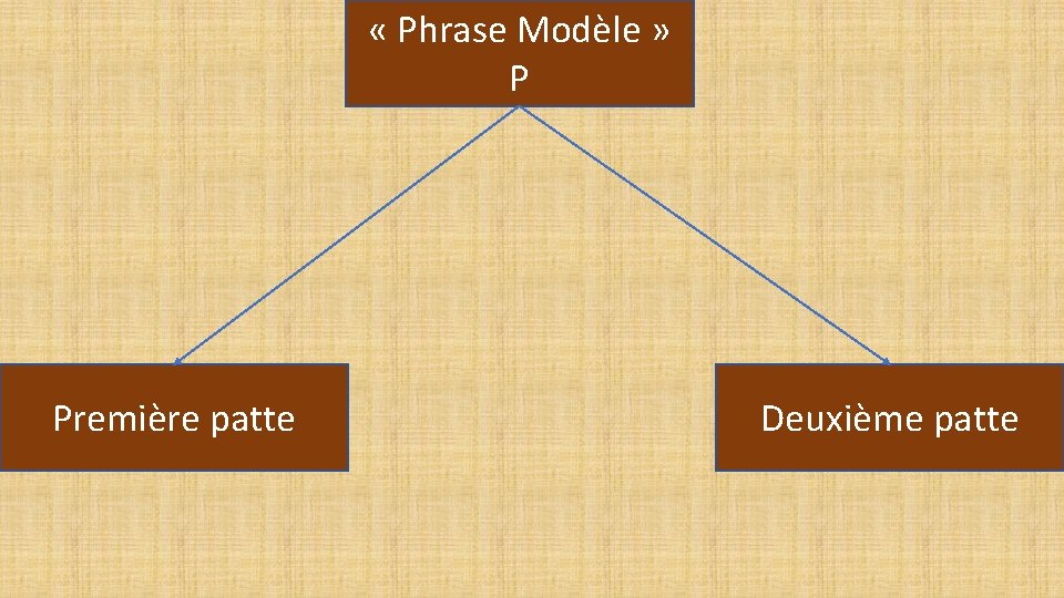  « Phrase Modèle » P Première patte Deuxième patte 