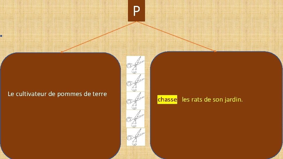 P Le cultivateur de pommes de terre chasse les rats de son jardin. ur