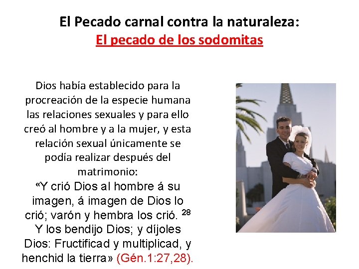 El Pecado carnal contra la naturaleza: El pecado de los sodomitas Dios había establecido El Pecado carnal contra la naturaleza: El pecado de los sodomitas Dios había establecido
