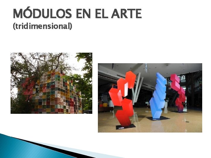 MÓDULOS EN EL ARTE (tridimensional) 