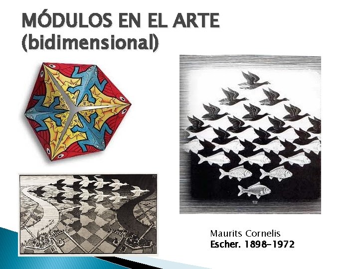 MÓDULOS EN EL ARTE (bidimensional) Maurits Cornelis Escher. 1898 -1972 