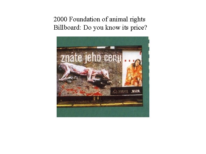 2000 Foundation of animal rights Billboard: Do you know its price? 