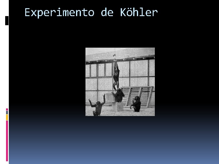 Experimento de Köhler Experimento de Köhler