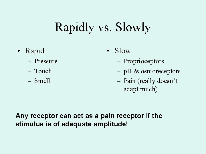 Rapidly vs. Slowly • Rapid – Pressure – Touch – Smell • Slow –