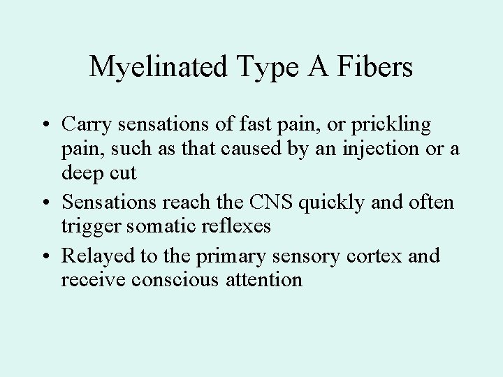 Myelinated Type A Fibers • Carry sensations of fast pain, or prickling pain, such