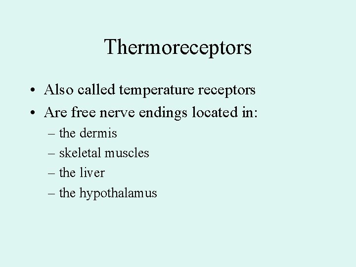 Thermoreceptors • Also called temperature receptors • Are free nerve endings located in: –
