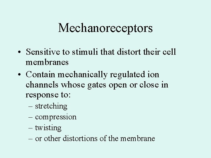 Mechanoreceptors • Sensitive to stimuli that distort their cell membranes • Contain mechanically regulated