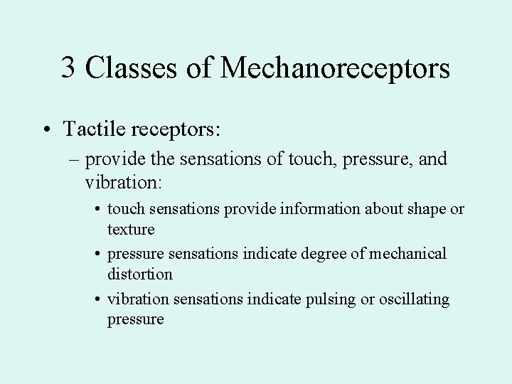 3 Classes of Mechanoreceptors • Tactile receptors: – provide the sensations of touch, pressure,