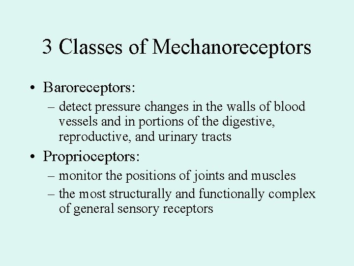 3 Classes of Mechanoreceptors • Baroreceptors: – detect pressure changes in the walls of