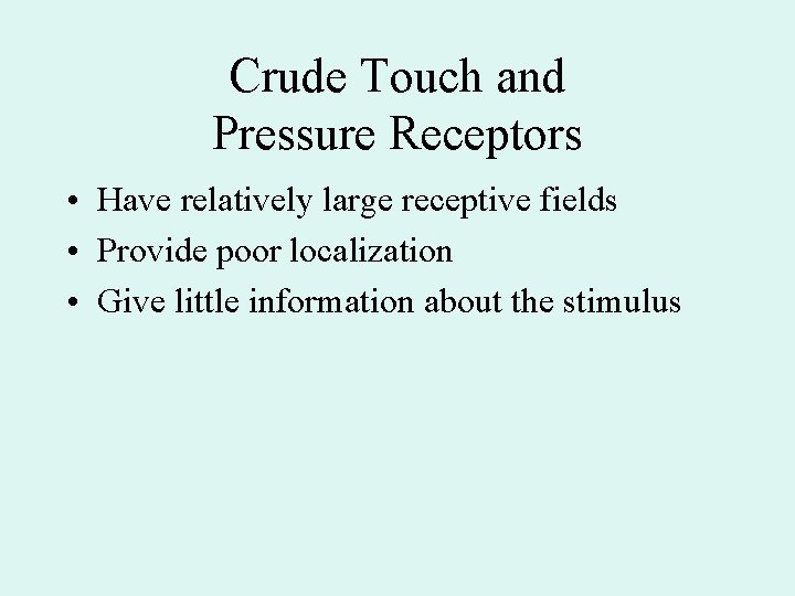 Crude Touch and Pressure Receptors • Have relatively large receptive fields • Provide poor