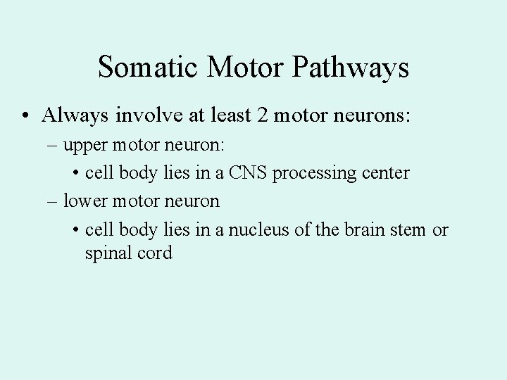 Somatic Motor Pathways • Always involve at least 2 motor neurons: – upper motor