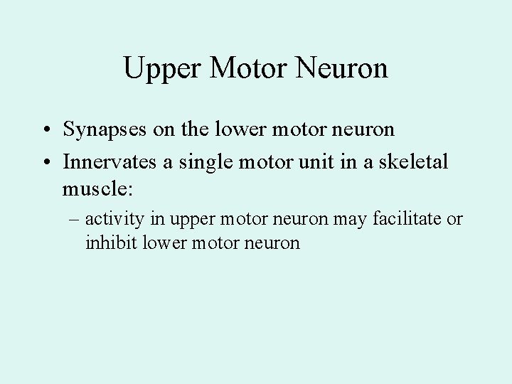 Upper Motor Neuron • Synapses on the lower motor neuron • Innervates a single