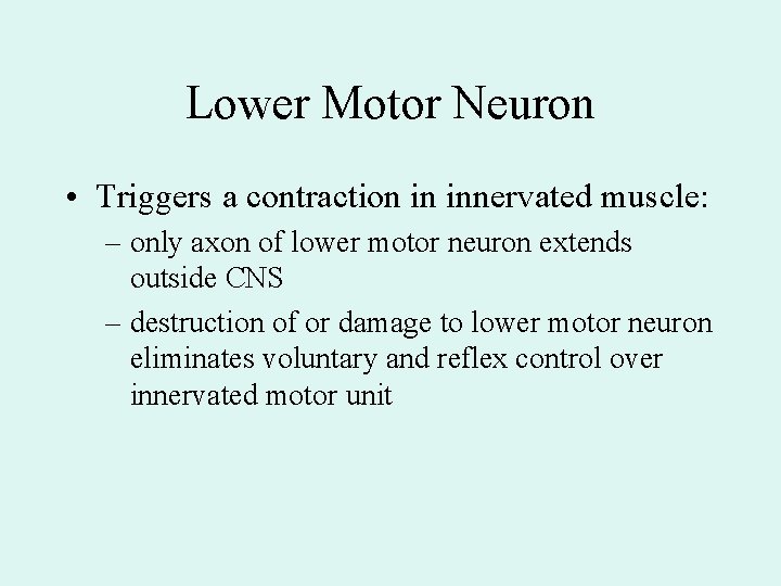 Lower Motor Neuron • Triggers a contraction in innervated muscle: – only axon of