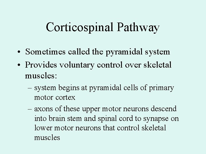 Corticospinal Pathway • Sometimes called the pyramidal system • Provides voluntary control over skeletal