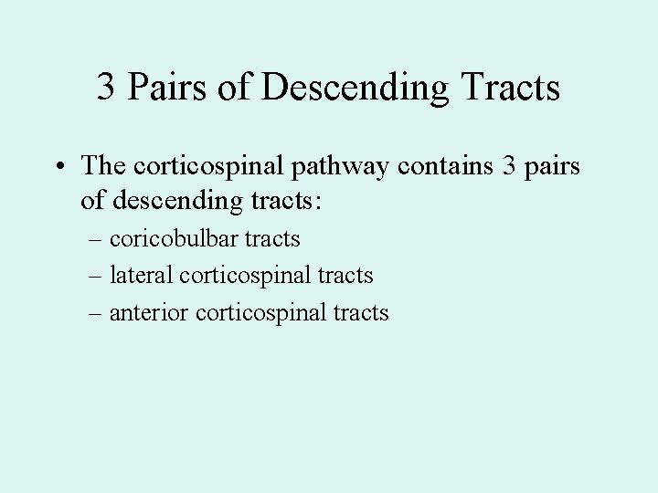 3 Pairs of Descending Tracts • The corticospinal pathway contains 3 pairs of descending