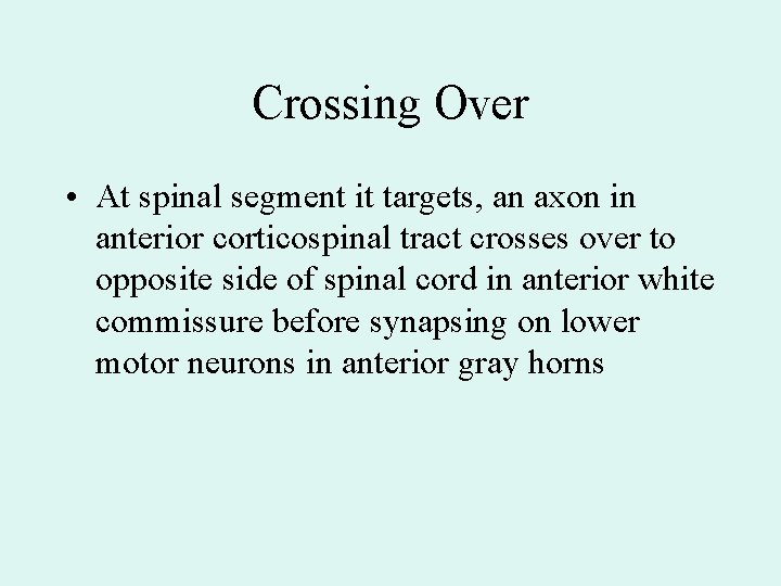 Crossing Over • At spinal segment it targets, an axon in anterior corticospinal tract