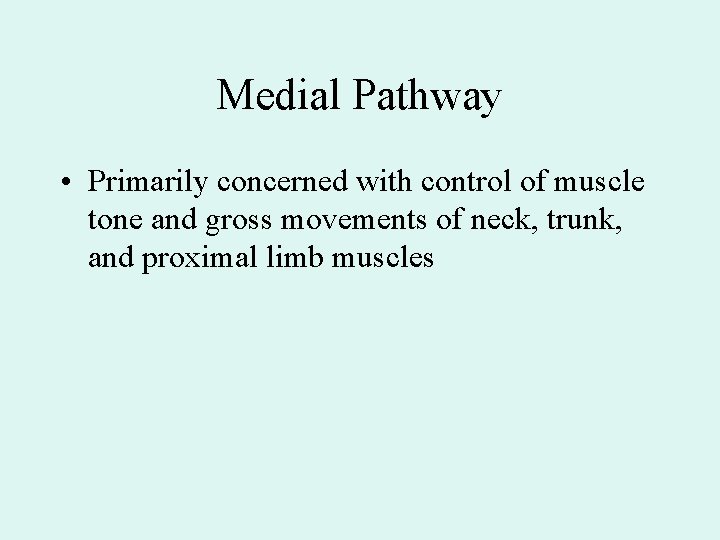 Medial Pathway • Primarily concerned with control of muscle tone and gross movements of