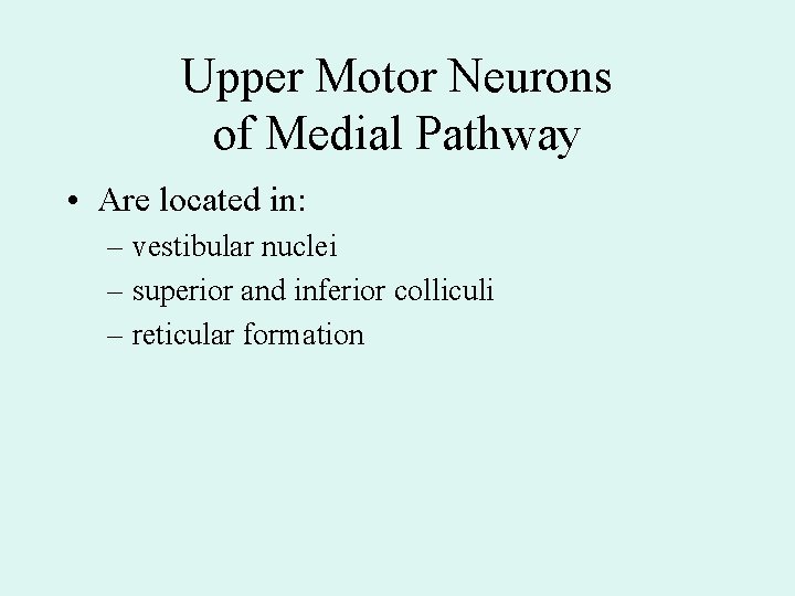 Upper Motor Neurons of Medial Pathway • Are located in: – vestibular nuclei –