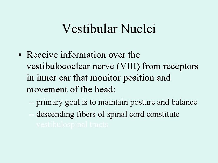 Vestibular Nuclei • Receive information over the vestibulococlear nerve (VIII) from receptors in inner