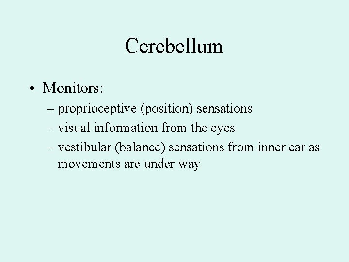 Cerebellum • Monitors: – proprioceptive (position) sensations – visual information from the eyes –