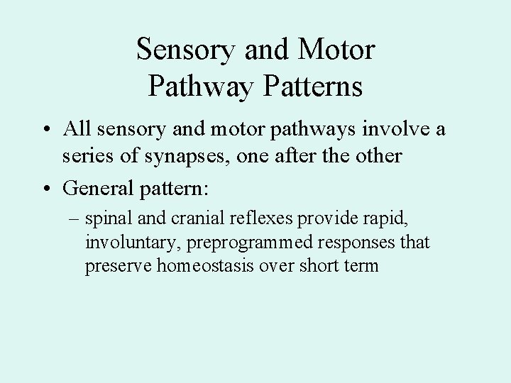 Sensory and Motor Pathway Patterns • All sensory and motor pathways involve a series