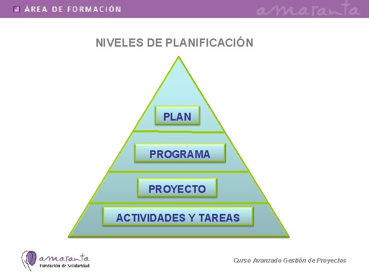 NIVELES DE PLANIFICACIÓN PLAN PROGRAMA PROYECTO ACTIVIDADES Y TAREAS Curso Avanzado Gestión de Proyectos