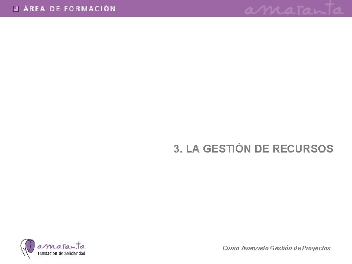 3. LA GESTIÓN DE RECURSOS Curso Avanzado Gestión de Proyectos 