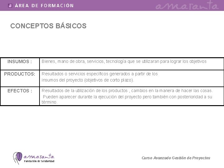 CONCEPTOS BÁSICOS INSUMOS : PRODUCTOS: EFECTOS : Bienes, mano de obra, servicios, tecnología que