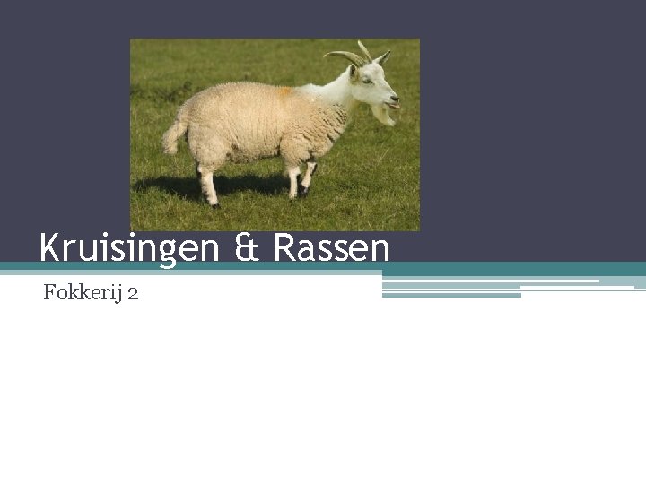 Kruisingen & Rassen Fokkerij 2 