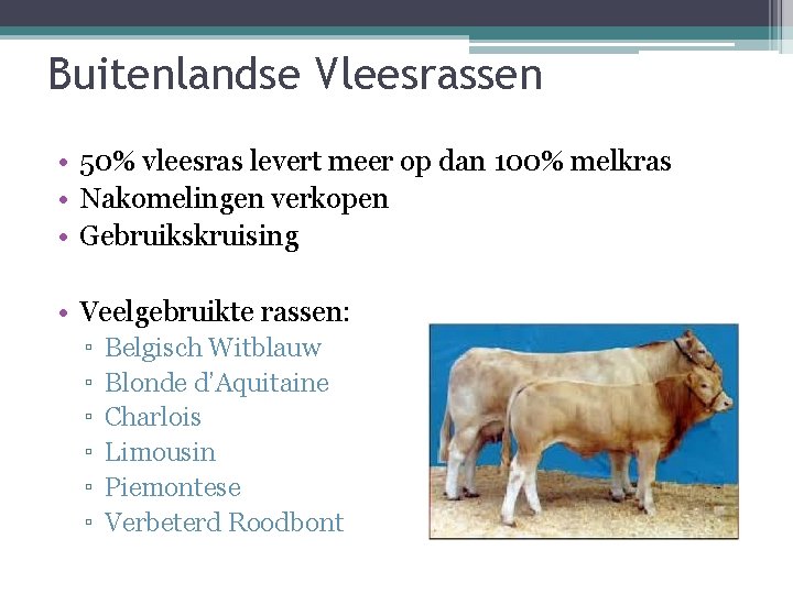 Buitenlandse Vleesrassen • 50% vleesras levert meer op dan 100% melkras • Nakomelingen verkopen