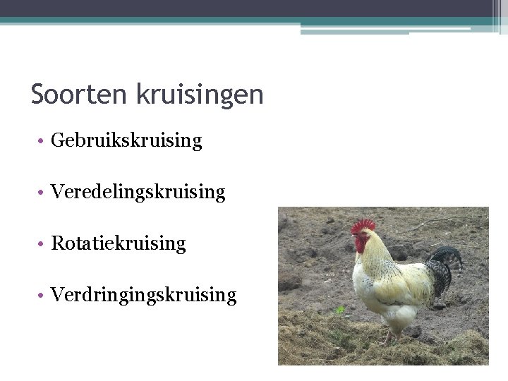 Soorten kruisingen • Gebruikskruising • Veredelingskruising • Rotatiekruising • Verdringingskruising 