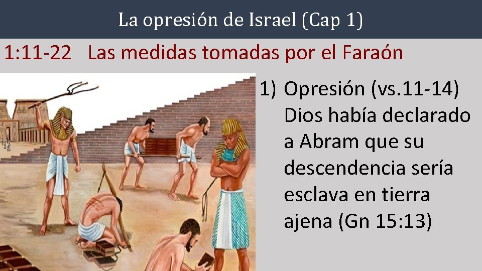 La opresión de Israel (Cap 1) 1: 11 -22 Las medidas tomadas por el