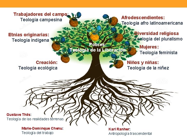 Trabajadores del campo: Teología campesina Etnias originarias: Teología indígena Creación: Teología ecológica Afrodescendientes: Teología