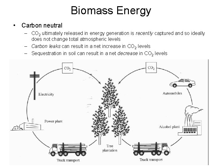 Biomass Energy • Carbon neutral – CO 2 ultimately released in energy generation is