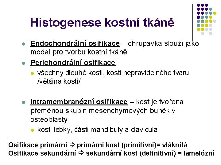 Histogenese kostní tkáně l l l Endochondrální osifikace – chrupavka slouží jako model pro