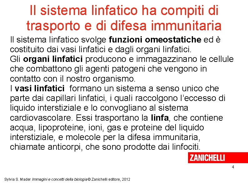 Il sistema linfatico ha compiti di trasporto e di difesa immunitaria Il sistema linfatico